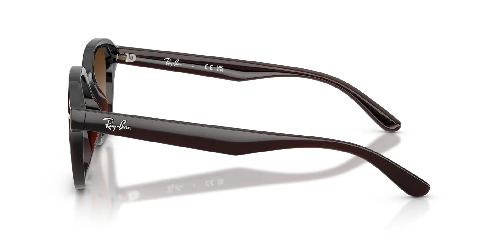 Ray-Ban 4458D Sunglasses - view 19